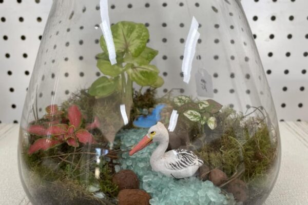 21